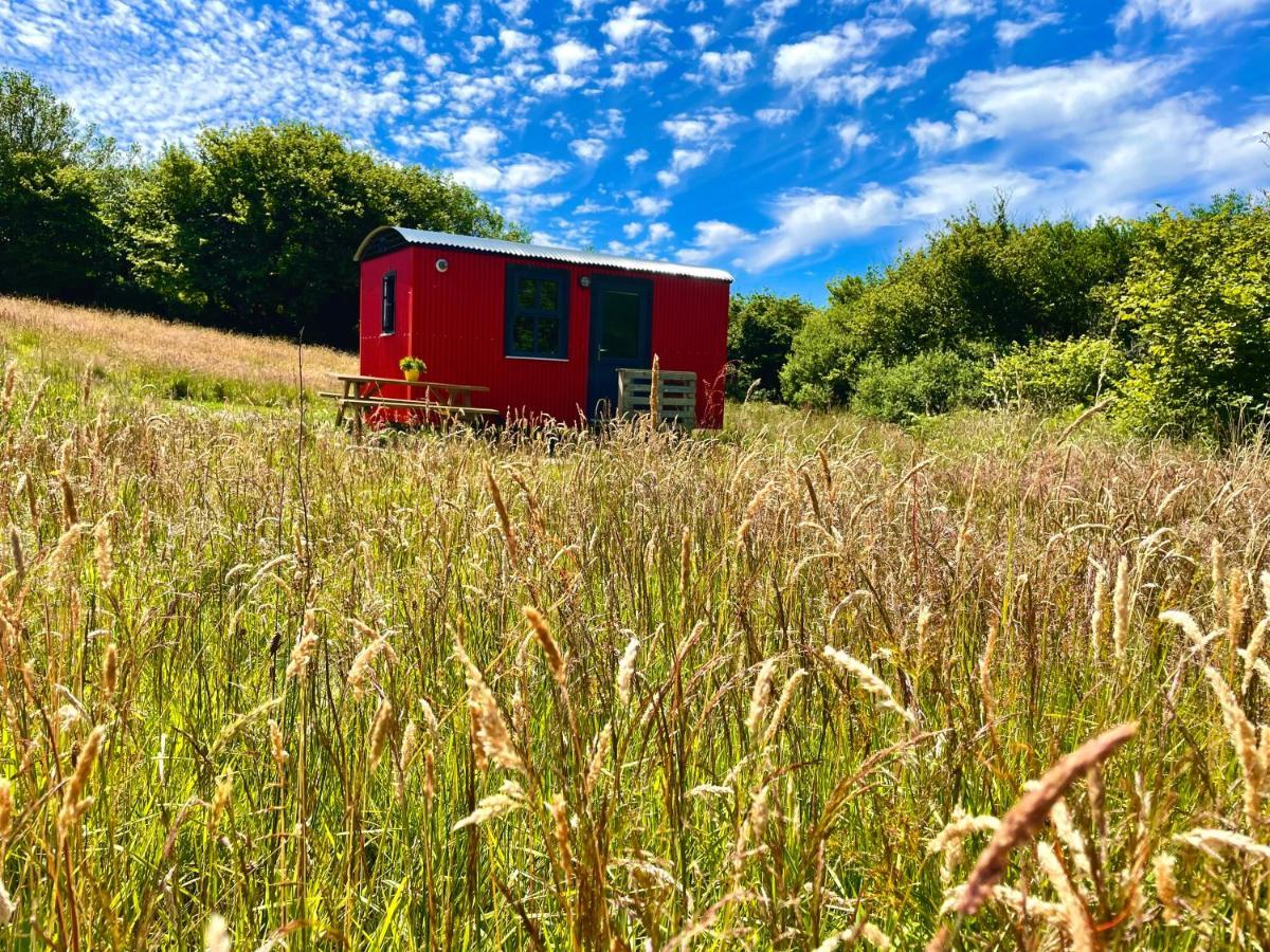 Stepping Stones Glamping Little Red Hotel Bantry Exterior photo